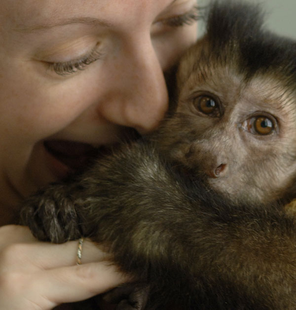 Meet The Monkeys - Mango - Helping Hands - monkey snuggling with staff