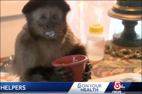 Helping Hands on WCVB - Farah holding a food bowl.